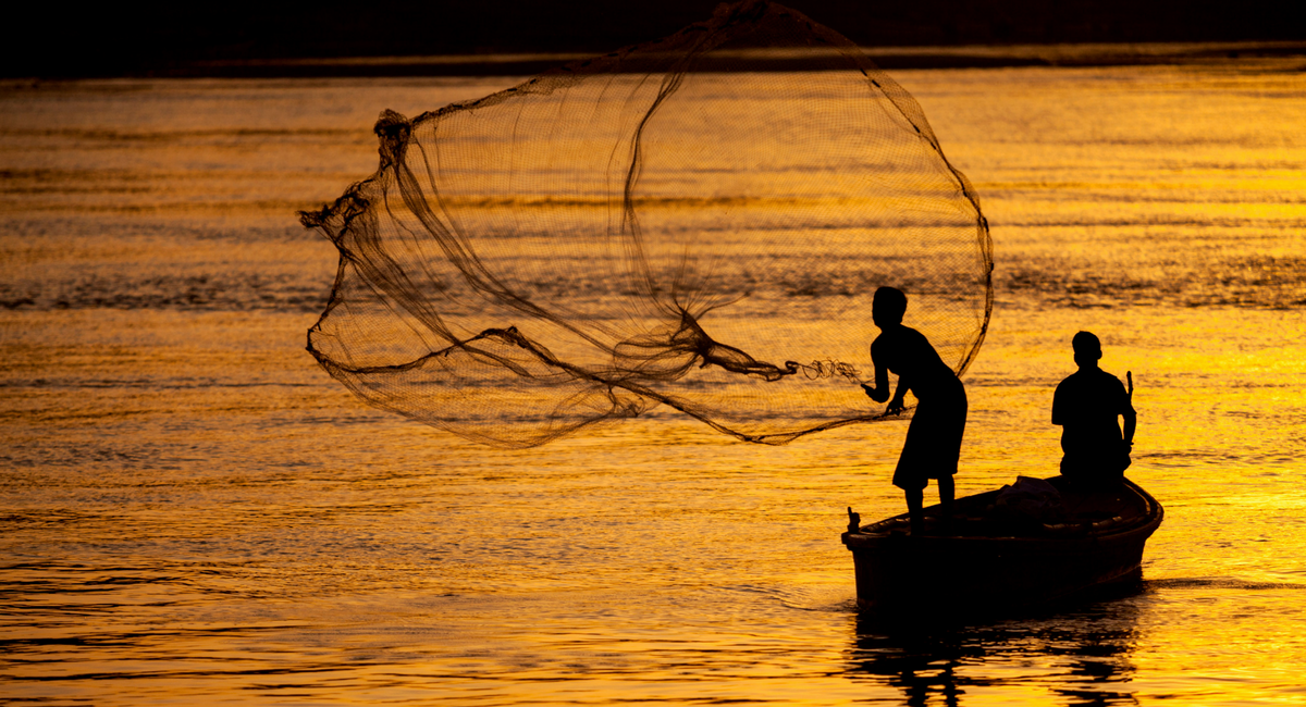 Backwater Fishing